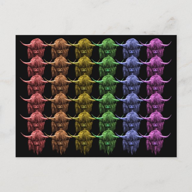 Scottish Highland Cow Vykort (Framsida)