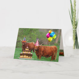 Scottish Highland Steer Party Birthday Kort