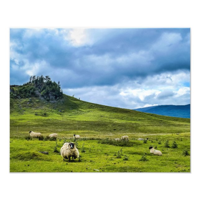 Scottish Highlands Fototryck (Framsidan)