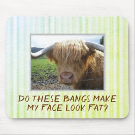 Scottish Highlands Steer Humor Musmatta
