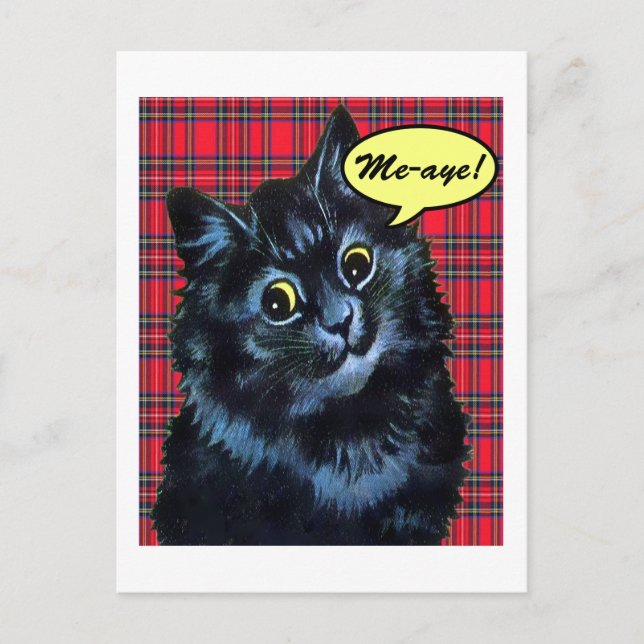 Scottish Independence Tartan Cat Lover Postcard Vykort (Framsida)
