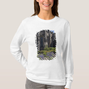 Scottish National War Memorial, Edinburgh T Shirt
