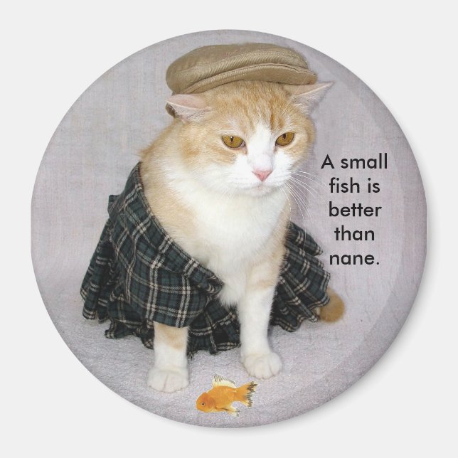 Scottish Sayed Magnet (Framsidan)