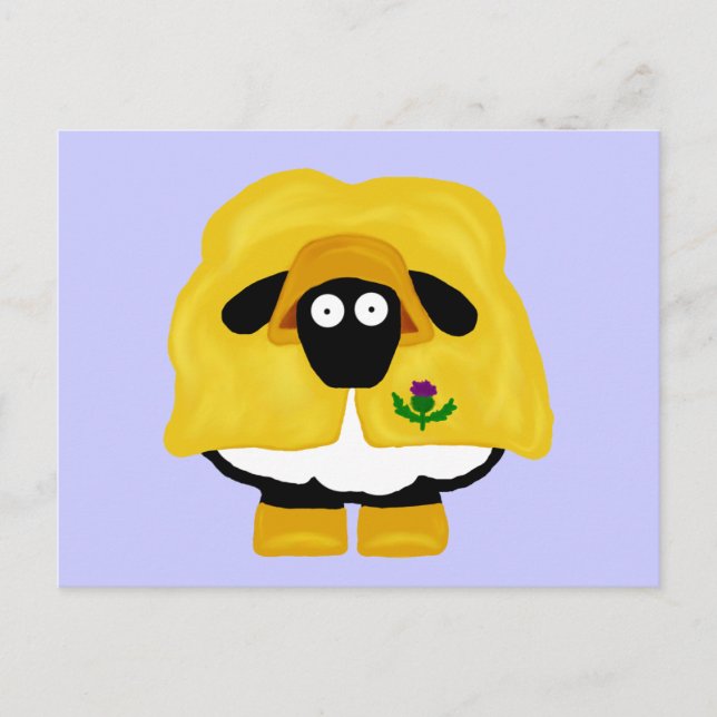Scottish Sheep Postcard Vykort (Framsida)