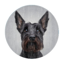Scottish Terrier