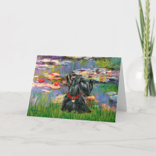 Scottish Terrier 12 - Lilies 2 Kort