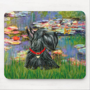 Scottish Terrier 12 - Lilies 2 Musmatta