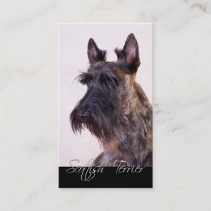 Scottish Terrier Affärskort Visitkort