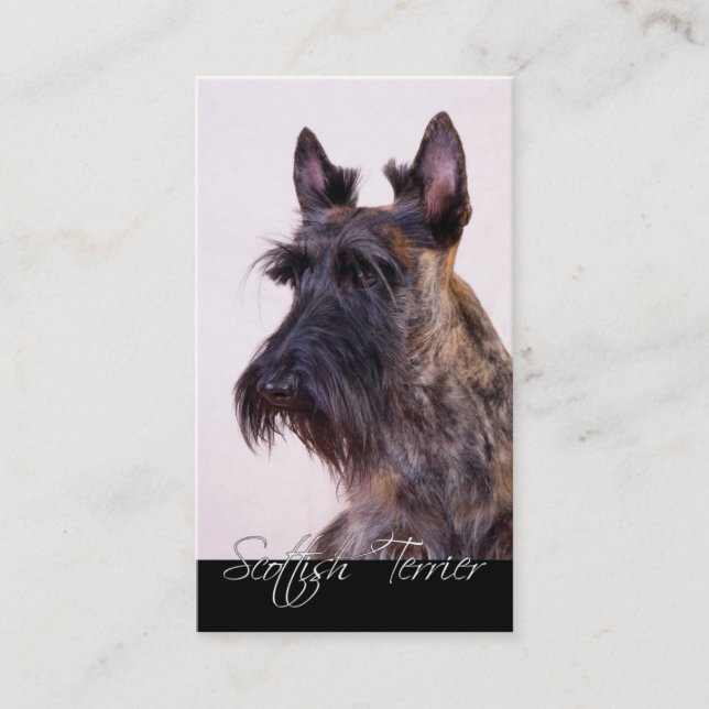 Scottish Terrier Affärskort Visitkort (Framsida)