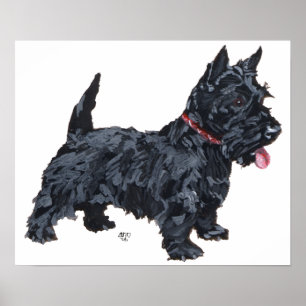 Scottish Terrier Affisch