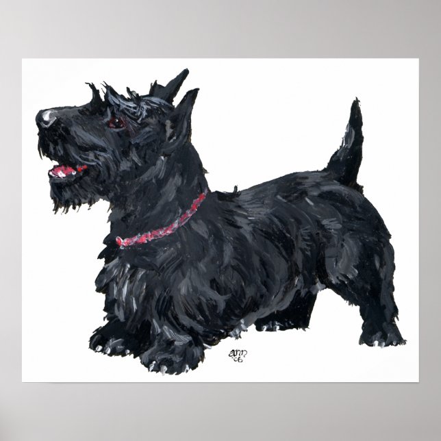 Scottish Terrier Affisch (Framsidan)
