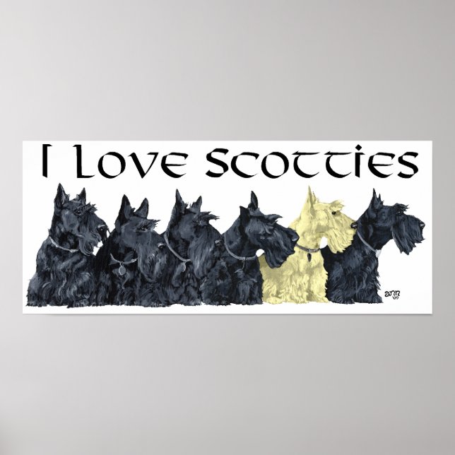 Scottish Terrier Affisch (Framsidan)