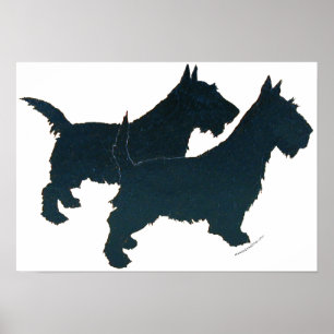 Scottish Terrier Affisch