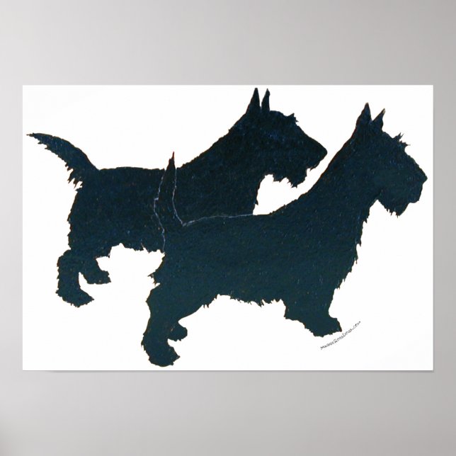 Scottish Terrier Affisch (Framsidan)