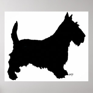 Scottish Terrier Affisch