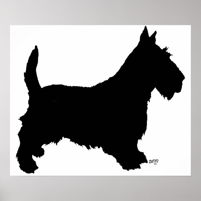 Scottish Terrier Affisch (Framsidan)