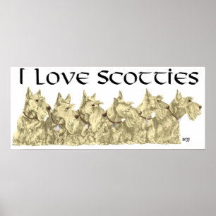 Scottish Terrier Affisch