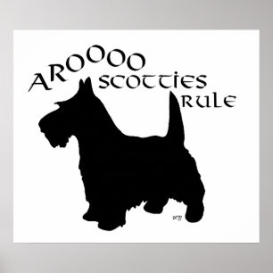 Scottish Terrier Affisch