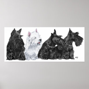 Scottish Terrier Affisch