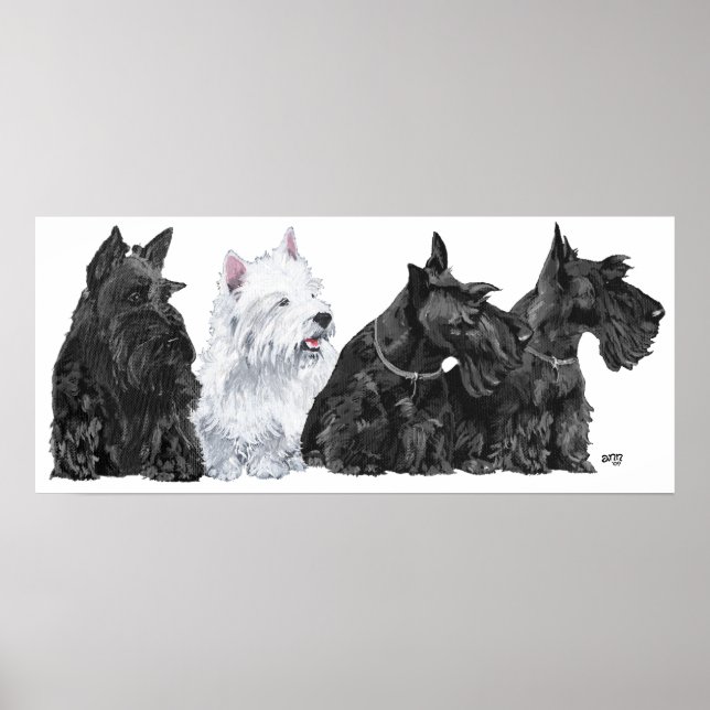 Scottish Terrier Affisch (Framsidan)