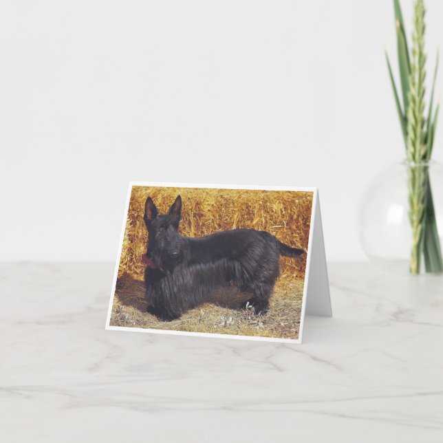 Scottish Terrier, anteckningskort (Framsida)