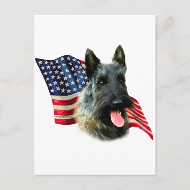 Scottish Terrier (brindle) Flagga Vykort (Framsida)