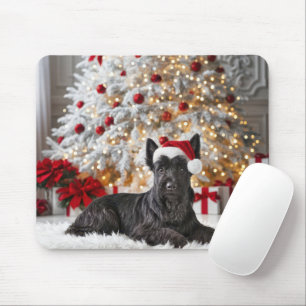 Scottish Terrier by Julgran Musmatta