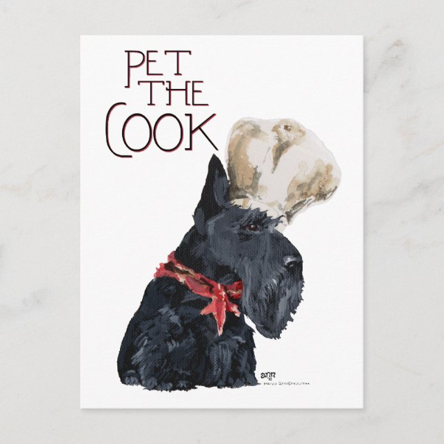 Scottish Terrier Chef Vykort (Framsida)