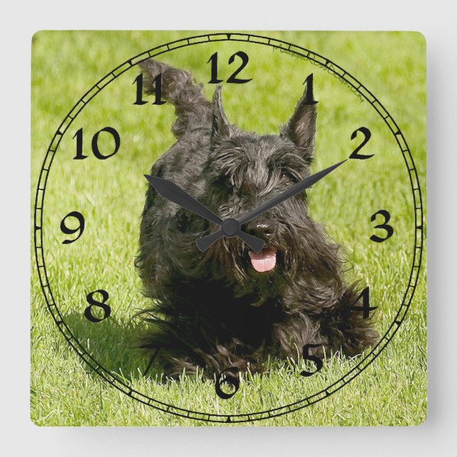 Scottish Terrier Clock Fyrkantig Klocka (Framsida)