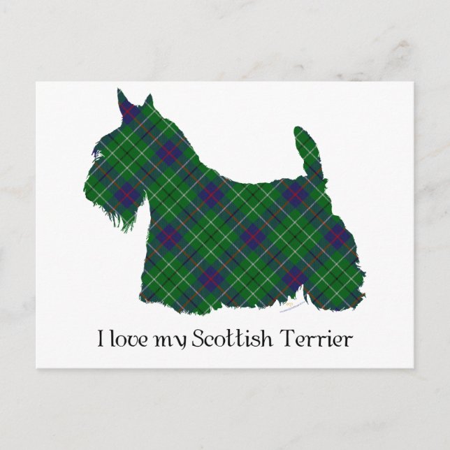 Scottish Terrier Duncan Tartan Vykort (Framsida)