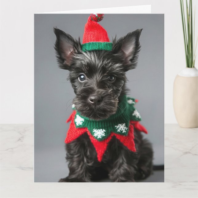 Scottish Terrier Elf Puppy-julkort Kort (Framsida)