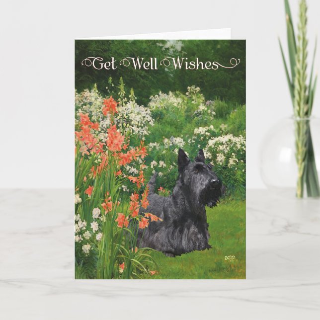 Scottish Terrier Get well Önskemål Kort (Framsida)