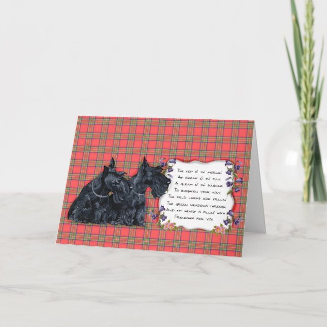 Scottish Terrier Greeting Card Kort (Framsida)