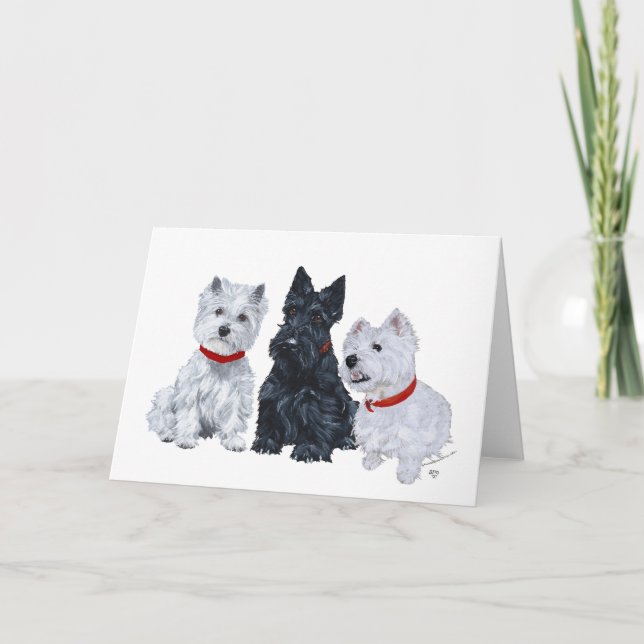 Scottish Terrier Greeting Card Kort (Framsida)