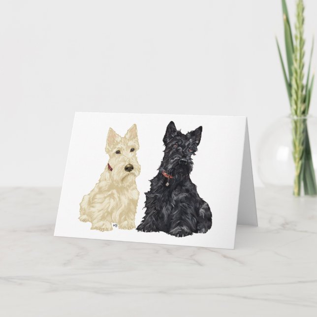 Scottish Terrier Greeting Card Kort (Framsida)