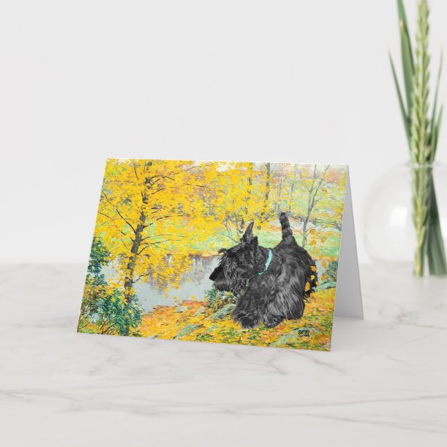 Scottish Terrier Greeting Card Kort (Framsida)