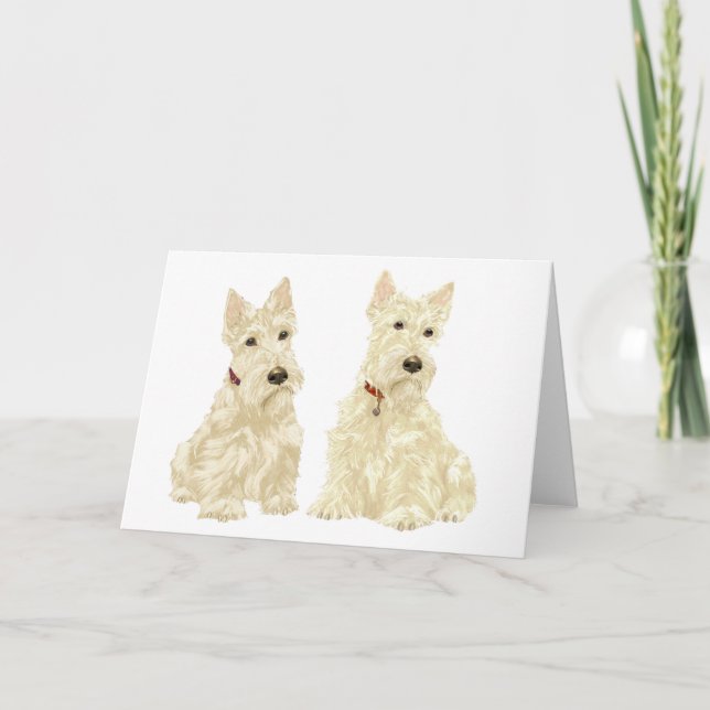 Scottish Terrier Greeting Card Kort (Framsida)