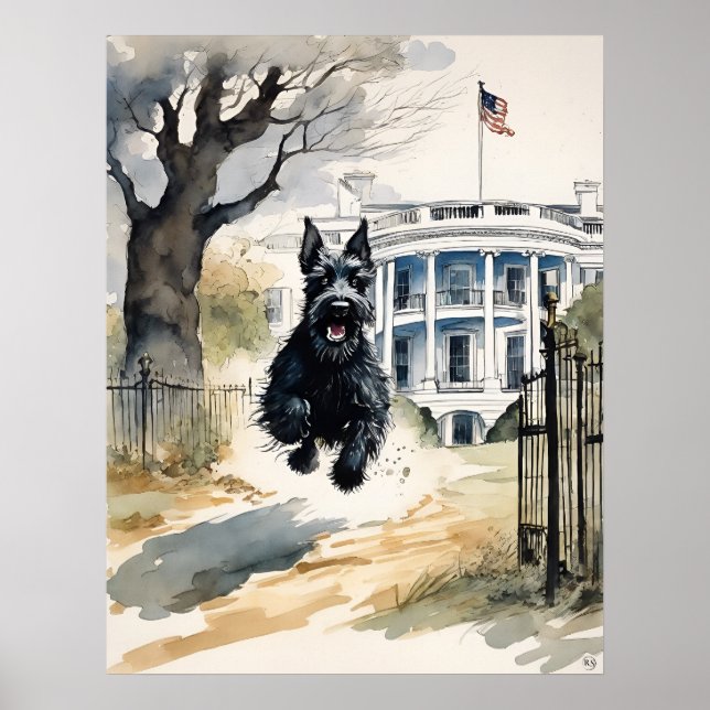 Scottish Terrier - Hund Art Print Poster (Framsidan)