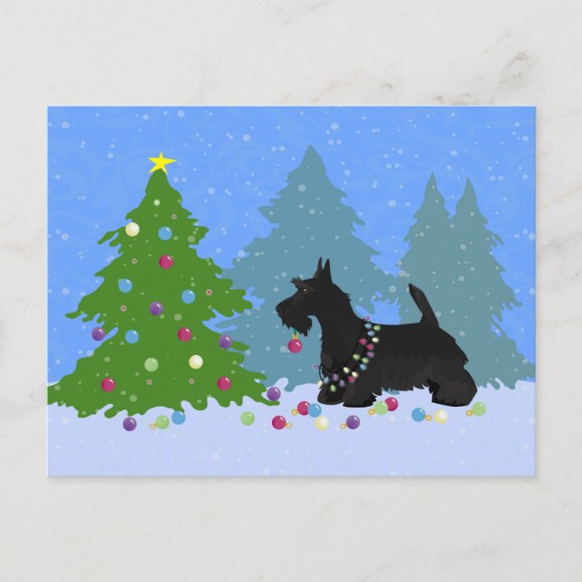 Scottish Terrier Hund Decorating Julgran Helg Vykort (Framsida)