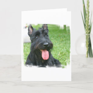 Scottish Terrier Hund Greeting Card Kort