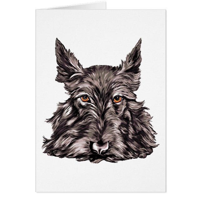 Scottish Terrier i Black Hälsningskort (Framsidan)