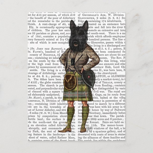 Scottish Terrier i Kilt Vykort (Framsida)
