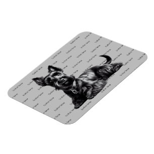 Scottish Terrier i Magnet