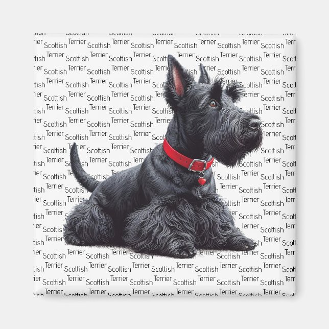 Scottish Terrier i Magnet (Framsidan)