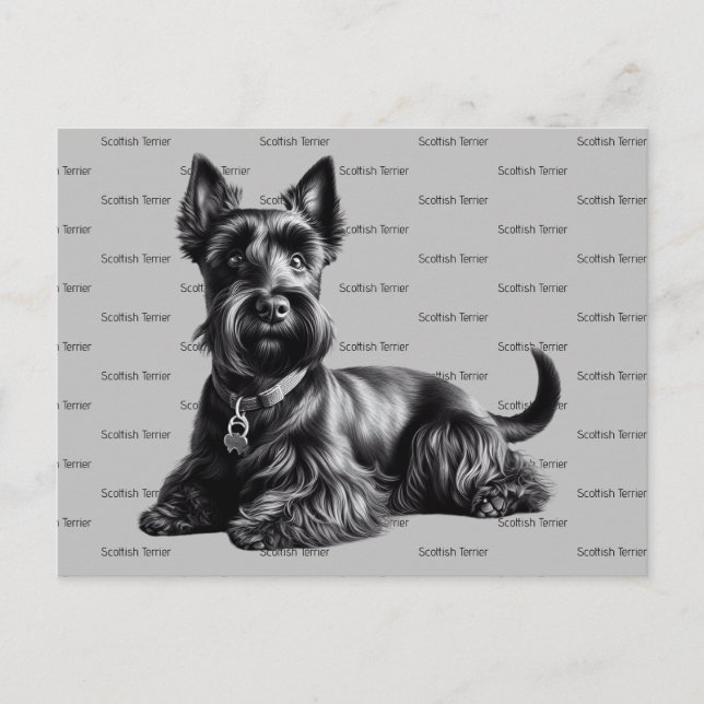 Scottish Terrier i Vykort (Framsida)