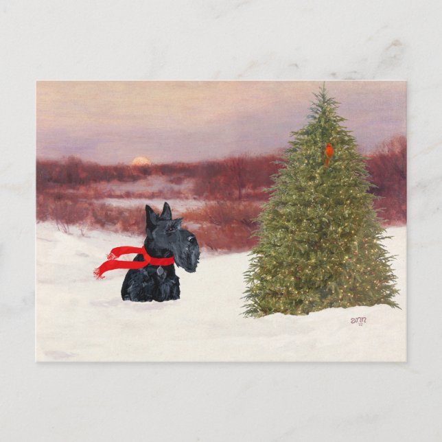Scottish Terrier i Wintertime Vykort (Framsida)