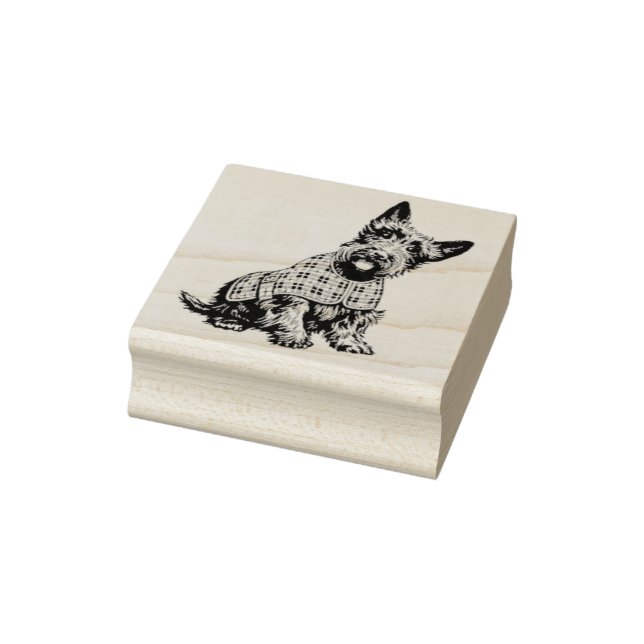 Scottish Terrier in a plaid coat - rubber stamp Stämpel (Stämpel)
