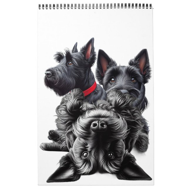 SCOTTISH TERRIER IN KALENDER (Omslag)