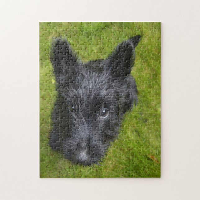 Scottish Terrier Jigsaws. Pussel (Vertikal)