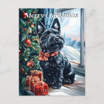 Scottish Terrier jul